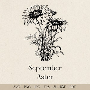 Aster Svg, Aster Png, Aster Dxf, Aster Clipart, Aster Vector, Aster Silhouette, Aster svg cut file for cricut, Aster Graphic, Aster Design
