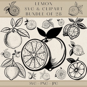 Lemon Svg, Lemon Png, Lemon Clipart, Lemon Vector, Lemon Silhouette, Lemon Svg Cut Files for Cricut, Lemon Slice Svg, Lemons Svg, Summer Svg
