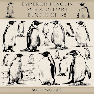 Emperor Penguin Svg, Emperor Penguin Clipart, Penguin Svg, Penguin Clipart, Penguin Png, Penguin Vector, Penguin Silhouette, Penguin Jpg