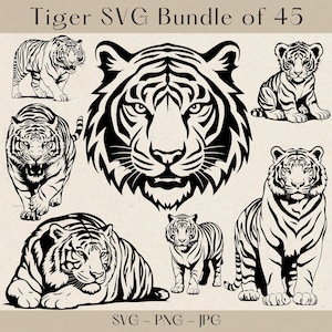 Tiger SVG, Tiger SVG Bundle, Tiger Clipart, Tiger Png, Tiger Kopf SVG, Tiger Kopf Clipart, Tiger Kopf Png, Tiger Silhouette, Tiger geschnitten Datei