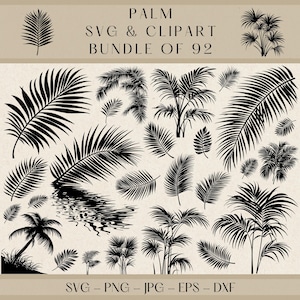 Palm SVG, Palm Clipart, Palm PNG, Palm Vector, Palm Silhouette, Tropical Palm SVG, Jungle Plant Clipart, Nature Clipart, Tropical Leaf Png