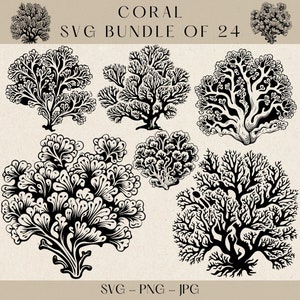 Coral Svg, Ocean Coral Svg, Ocean Svg, Sea Svg, Coral Vector, Coral Reef Svg, Ocean Vector, Reef Vector, Ocean Clipart, Reef Clipart