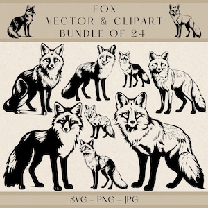 Fox SVG, Fox Vector, Fox Silhouette, Fox Png, Fox Clipart, Fox Clip Art, Fox SVG plik do cięcia dla Cricut, Forest Animal SVG, Woodland Animal SVG