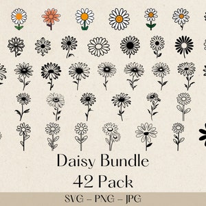 Daisy Svg Bundle, Daisy SVG, Flower Svg files for cricut, Vector Cutfile, Clipart Cut files for Cricut Cameo, Spring Summer Svg, Png Files