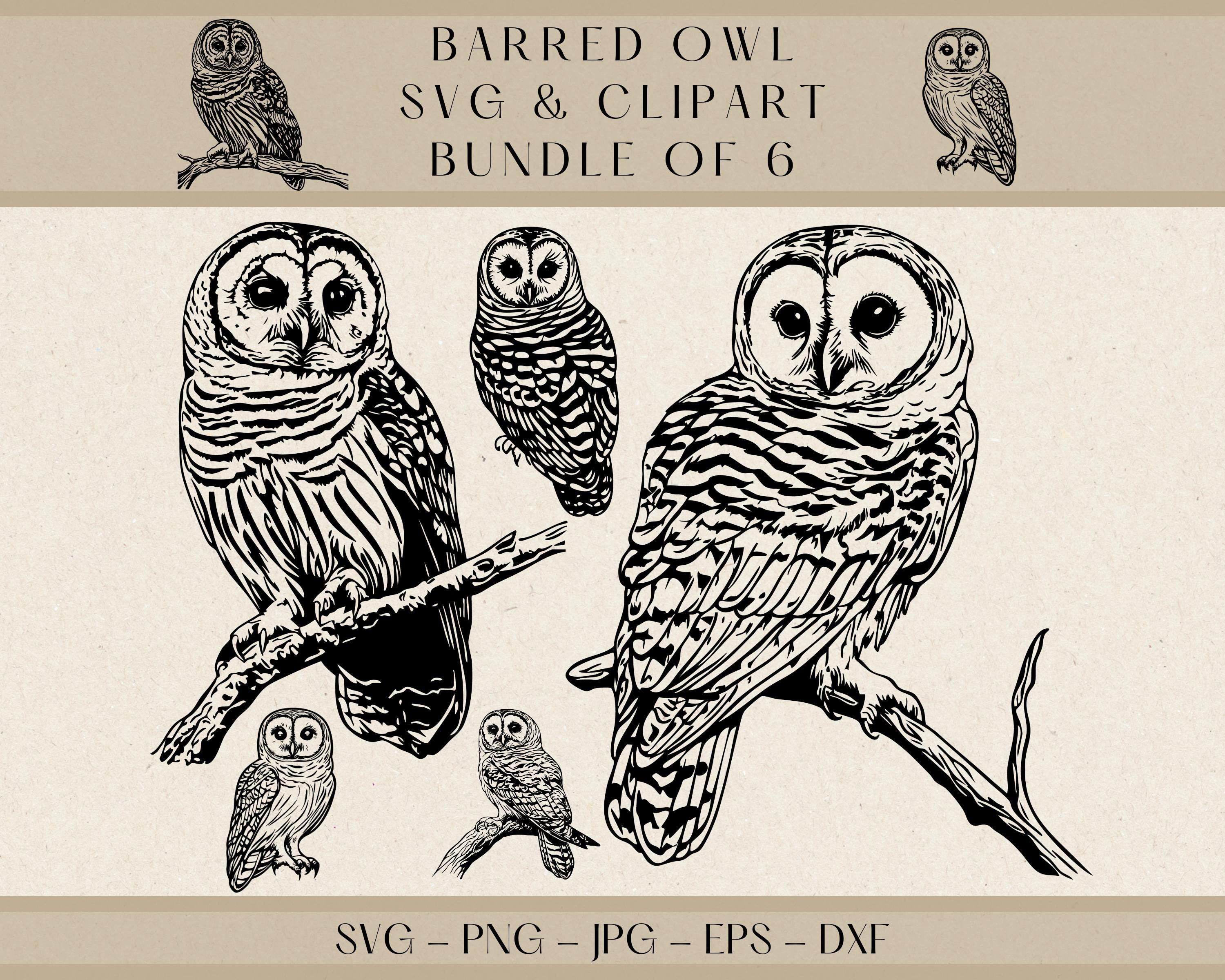 Barred Owl Clipart: Rustic Wildlife SVG Bundle (Digital Download)