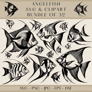 Angelfish Svg, Angelfish Clipart, Fish Svg, Fish Clipart, Fish Png, Fish Dxf, Fishing Svg, Fish Cut File, Fish Clip Art, Angel Fish Clipart