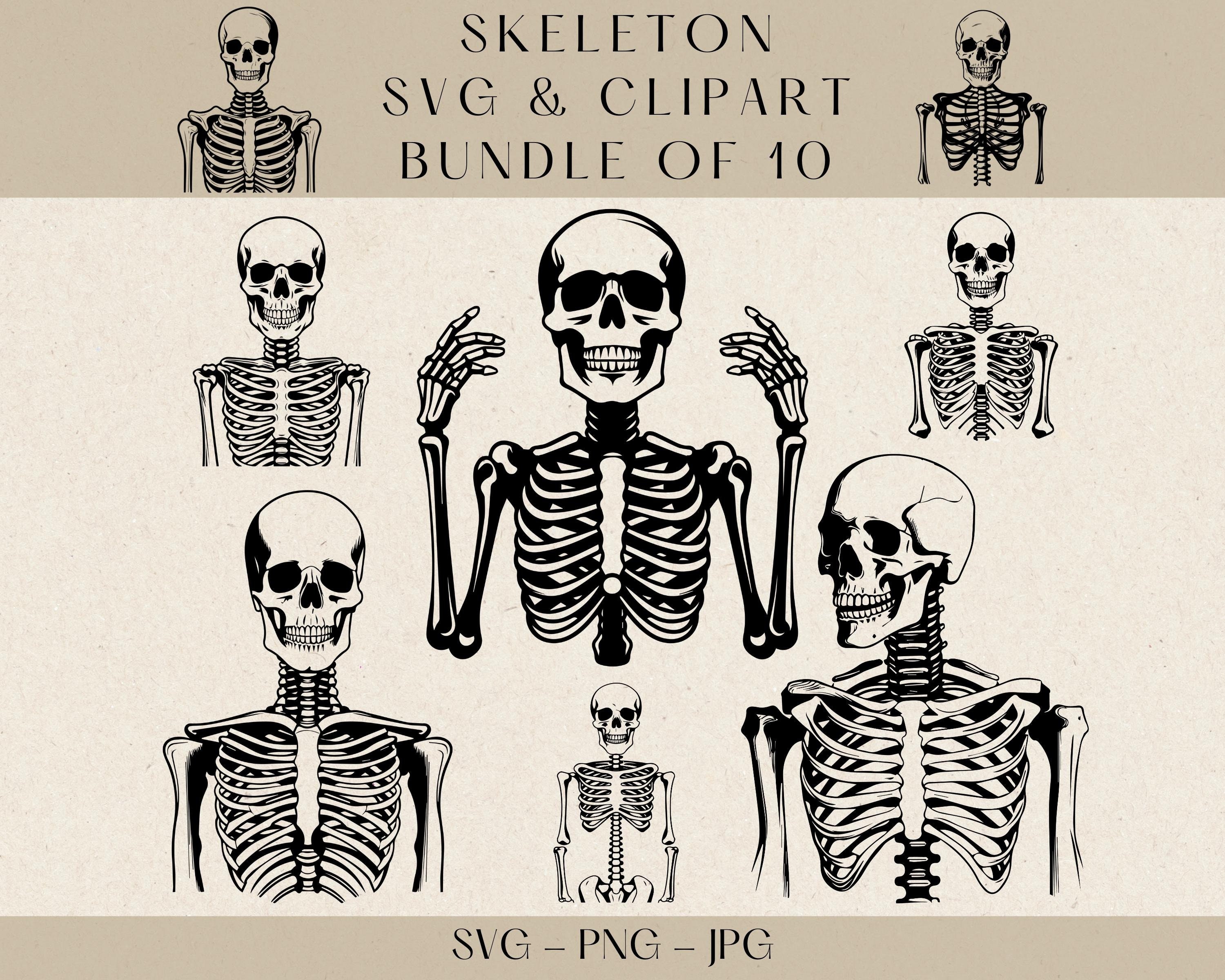 Skeleton Svg Medical Svg Skeleton Png Skull Svg Skeleton - Etsy