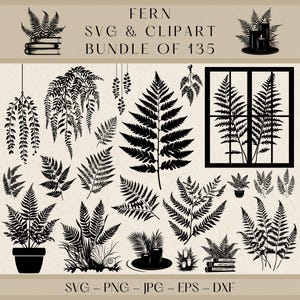 Fern SVG, Fern Clipart, Fern PNG, Fern Vector, Fern Silhouette, Tropical Plant SVG, Botanical Art, Nature Clipart, Leaf Svg, Greenery Png
