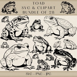 Toad SVG Clipart Bundle: 28 Frog Designs (Digital Download)