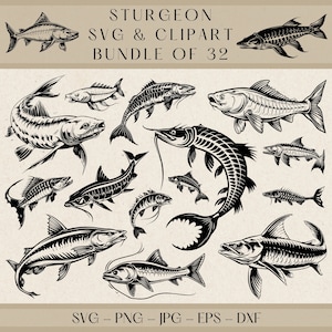 Sturgeon SVG, Sturgeon Clipart, Sturgeon Png, Sturgeon Vector, Sturgeon Silhouette, Fish SVG, Fish Clipart, Fishing Svg, Fish Png