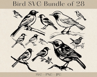 Bird svg, Bird svg bundle, Bird silhouette, Bird cut files, Bird clipart, Birds Clipart, Bird svg files foor cricut, Birds svg, Bird png