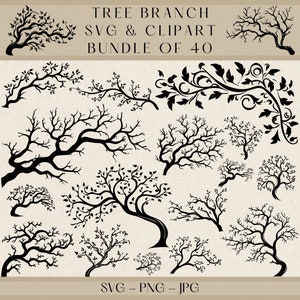 Bundle de cliparts SVG branche d&#39;arbre : 40 motifs rustiques (téléchargement numérique)