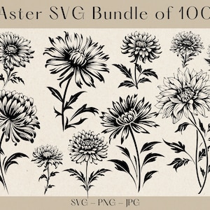 Aster SVG Bundle, Aster Svg, September Birth Flower SVG, Aster Clipart, Aster PNG, Flower Svg, Floral svg, Birth flower svg, Flower Clipart