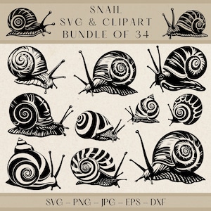 Caracol SVG, Caracol Clipart, Caracol Png, Caracol Vector, Silueta de caracol, Insecto SVG, Diseño de caracol, Gasterópodo SVG, Ilustración de caracol, Animal Svg