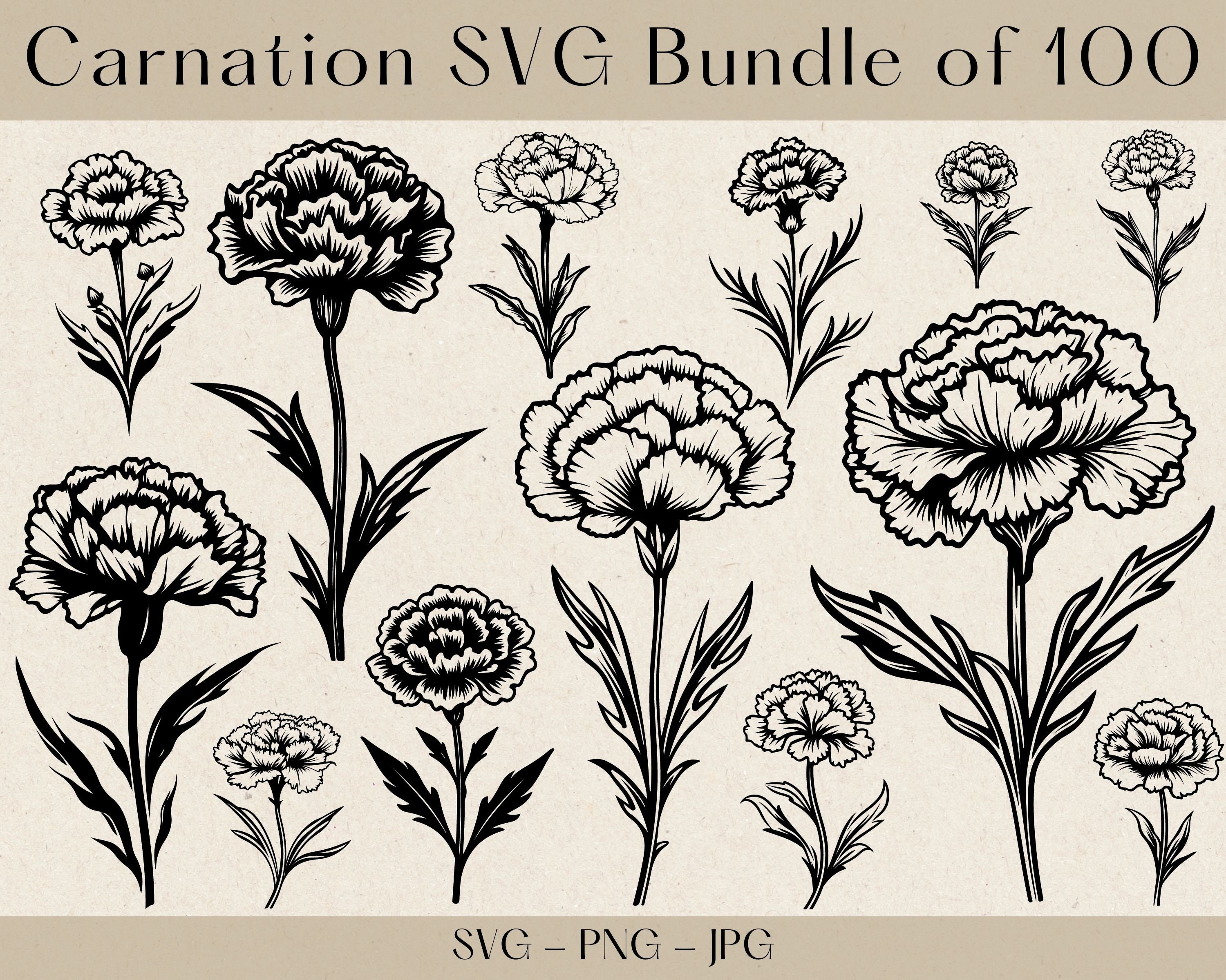 Carnation SVG Bundle Carnation SVG Carnation Flower Svg Etsy