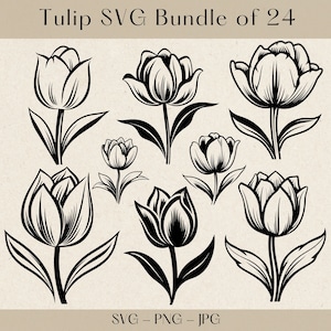 Tulip SVG, Pakiet Tulip SVG, Sylwetka tulipana, Clipart tulipana, Pliki svg tulipana dla cricut, Wektor tulipana, Clipart kwiatowy, Kwiat svg, Kwiat