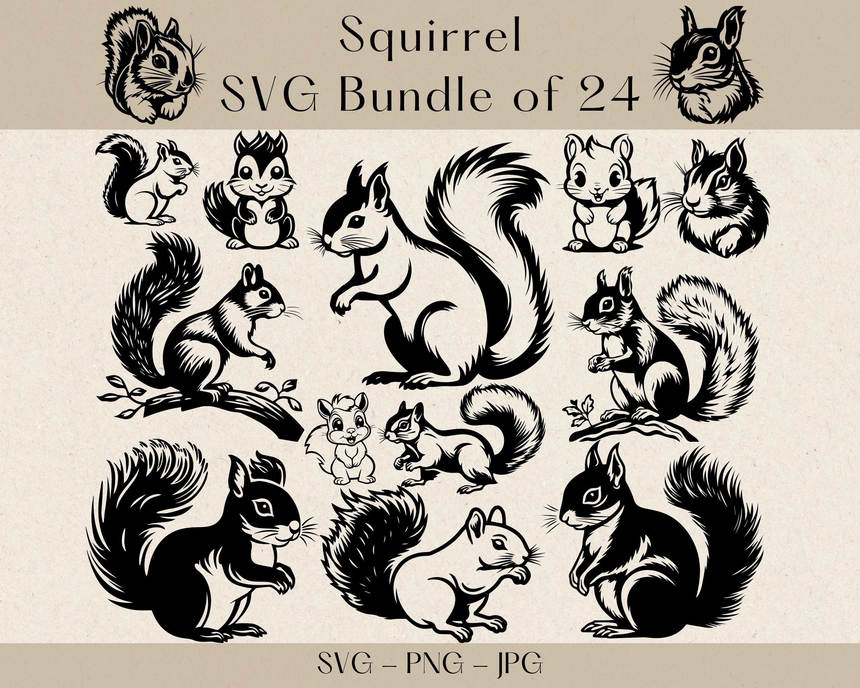 Squirrel SVG, Squirrel SVG Bundle, Squirrel Clipart, Squirrel PNG