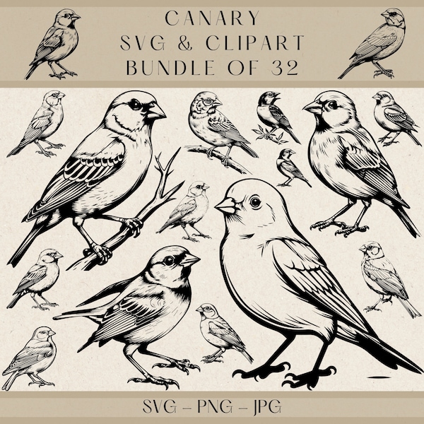 Canary Svg, Canary Png, Canary Clipart, Canary Vector, Canary Silhouette, Bird Svg, Bird Png, Bird Vector, Bird Clipart, Bird Silhouette