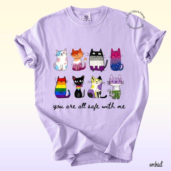 Inclusive Pride Shirt | You Are All Safe With Me Comfort Colors Tee | Multi Flag LGBTQ Cat Graphic | Cute Queer Ally Apparel