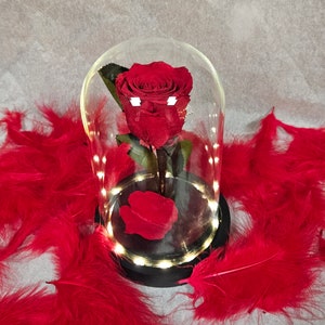 Real Beauty and the Beast Bell in Eternal Rose