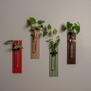 Wall Hanging Propagation Vase - Colour My World