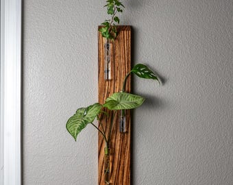 Handmade Hardwood Wall-Mounted Propagation Vase – Modern Plant Propagation Station