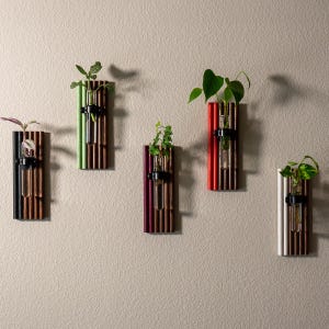 Color My World Propagation Station - Wall Hanging - Stripe