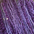 Purple Braid In Dreads, Synthetic Double or Single Ended Dreadlock Extensions with Curly Loose Ends product logo