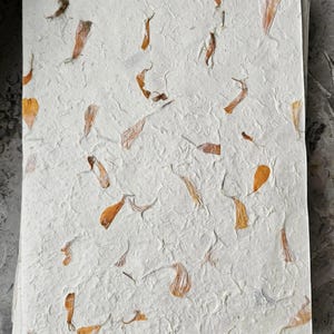 A4 Handmade Lokta Paper Sheets | Marigold Petal Infused | Eco-Friendly Nepali Paper for Printing, Crafting & Stationery
