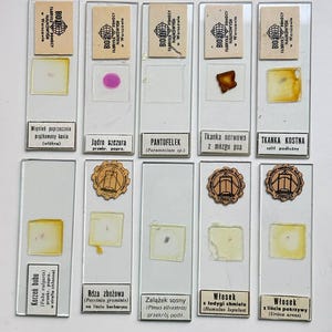 Puede incluir: Colección de portaobjetos de microscopio antiguos, cada uno con una pequeña muestra y una etiqueta. Las etiquetas están en polaco y presentan términos científicos y el nombre del fabricante. Los portaobjetos están dispuestos sobre una superficie blanca.