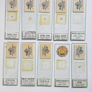 Puede incluir: Una colección de portaobjetos de microscopio antiguos, cada uno con una pequeña muestra rectangular y una etiqueta de papel. Las etiquetas presentan texto en polaco y el logotipo de una fábrica de ayuda científica en Varsovia. Los portaobjetos muestran varios tejidos vegetales.