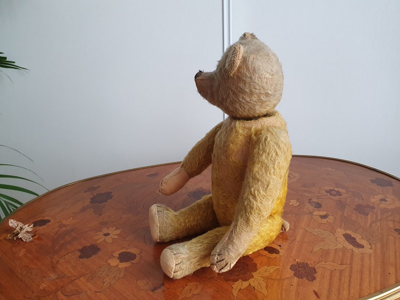 Ours Schuco en peluche Oui Non mécanique vers 1925 Ht 38 cm 2107 image 4