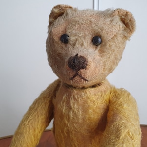 Ours Schuco en peluche Oui Non mécanique vers 1925 Ht 38 cm 2107 image 1