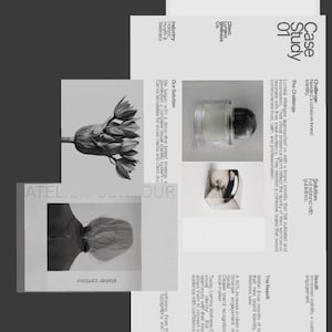 Może przedstawiać: Szary układ studium przypadku z ilustracją kwiatu, przezroczystym korkiem do butelki i srebrnym pierścieniem. Tekst zawiera "Case Study 01" oraz szczeg&oacute;ły dotyczące Lumina Wellness Co. i jej marki.
