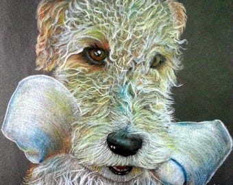 Pet Portrait