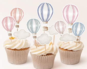 Editable Hot Air Balloons Cupcake Toppers Props for Gender Reveal Baby Shower or Birthday Instant Download Printable Template Blue Pink Teal