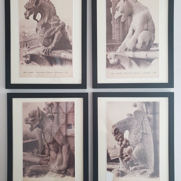 Lot of 4 enlarged glossy photocopies of Notre Dame Chimera postcards in a 9x12 inch frame