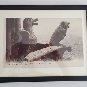 Lot of 4 enlarged glossy photocopies of Notre Dame Chimera postcards in a 9x12 inch frame