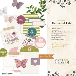 Adesivi digitali farfalla per iPad / Set Beautiful Life / Adesivo GoodNotes / Adesivi iPad / GoodNotes / Cornice, Bandiera, Pulito, Pianta, Floreale