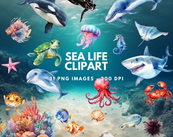 watercolor sea life clipart - ocean clipart - PNG instant download - Transparent background - high quality - whale - turtle - fish - shark