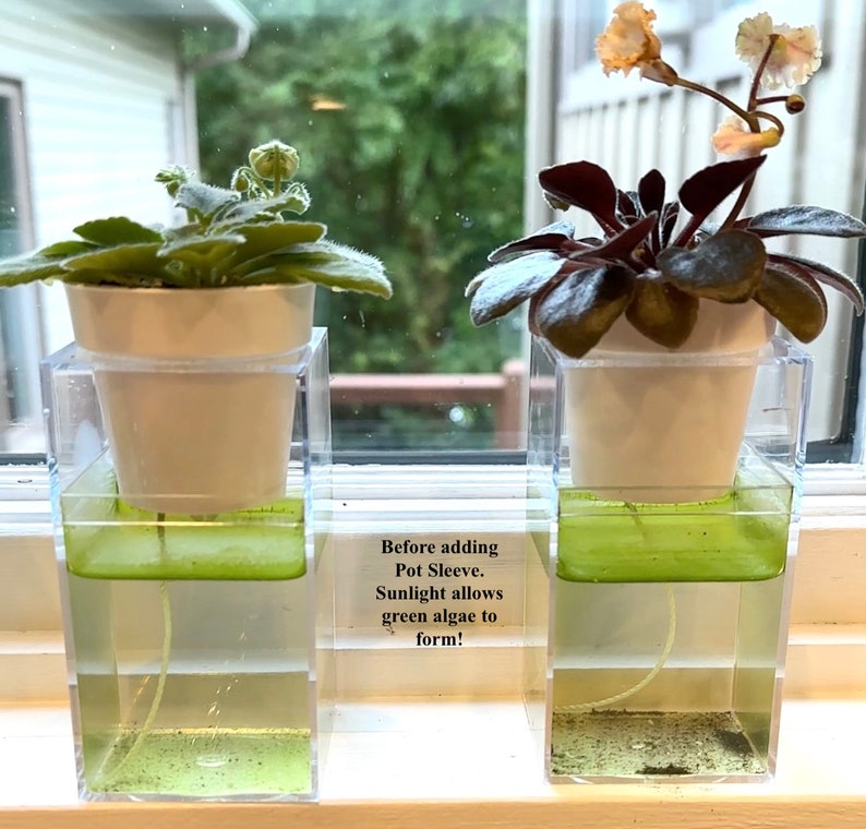 African Violet (mini) Self-watering Pot Sleeve - Etsy