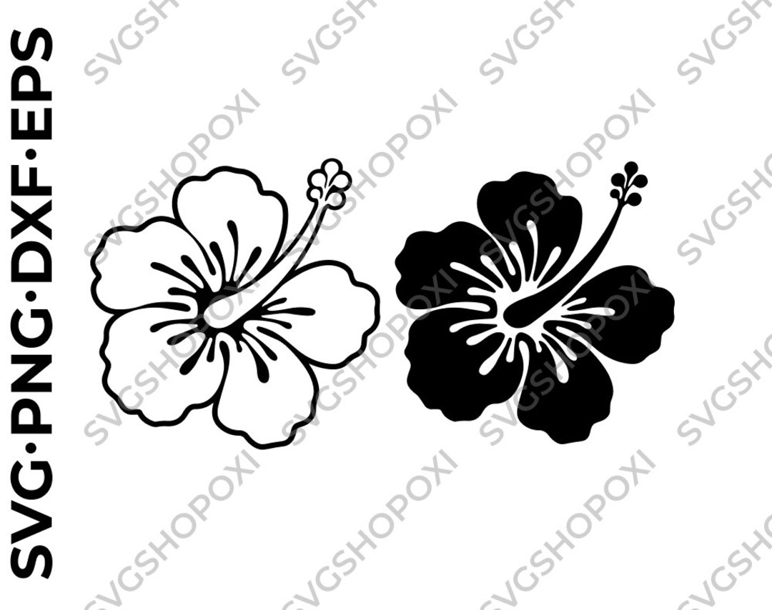 Hibiscus / Svg, Png, Eps, Dxf / Vector, Cricut , Silhouette File - Etsy