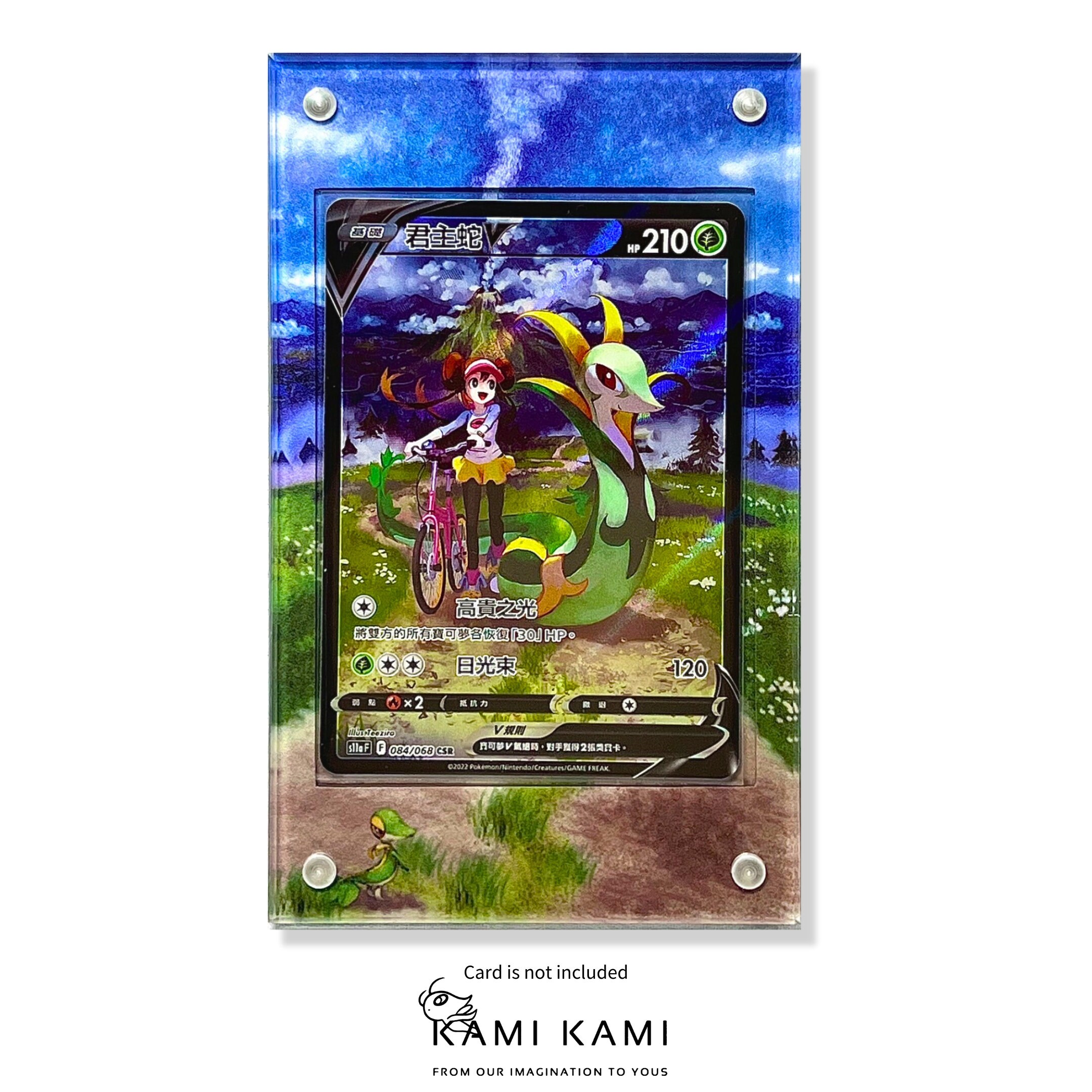 Serperior V CSR Custom Pokémon Card Display Frame Case - Etsy