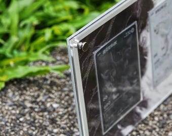 レシラムEX＆ゼクロムEX BWRセット ポケモンカードディスプレイ