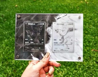 レシラムEX＆ゼクロムEX BWRセット ポケモンカードディスプレイ