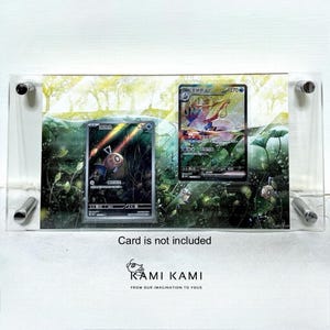 Feebas & Milotic ex SAR Set, étui personnalisé pour présentoir de cartes Pokémon
