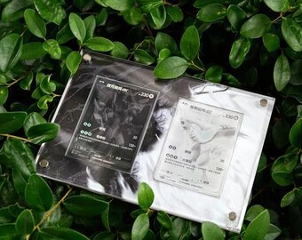 レシラムEX＆ゼクロムEX BWRセット ポケモンカードディスプレイ