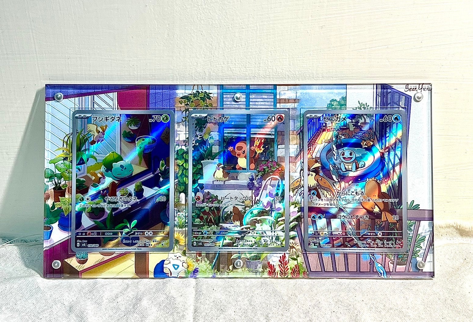 ゼニガメ ヒトカゲ フシギダネ プロモ AR ポケモンカード ディスプレイ