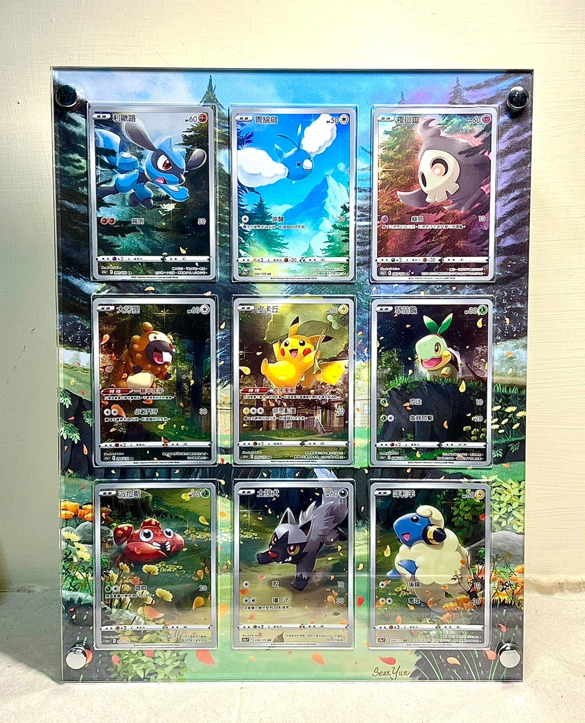Amazon.com: The Hobby Lair Japanese Booster Box Acrylic Case