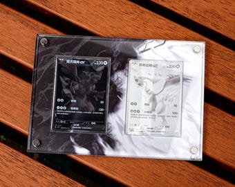 レシラムEX＆ゼクロムEX BWRセット ポケモンカードディスプレイ